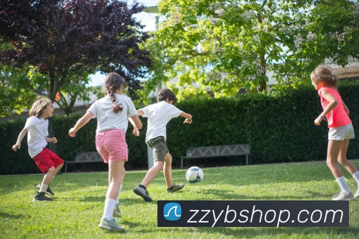 开云手机站官方版网站登录入口 - 开云(中国)服务体系